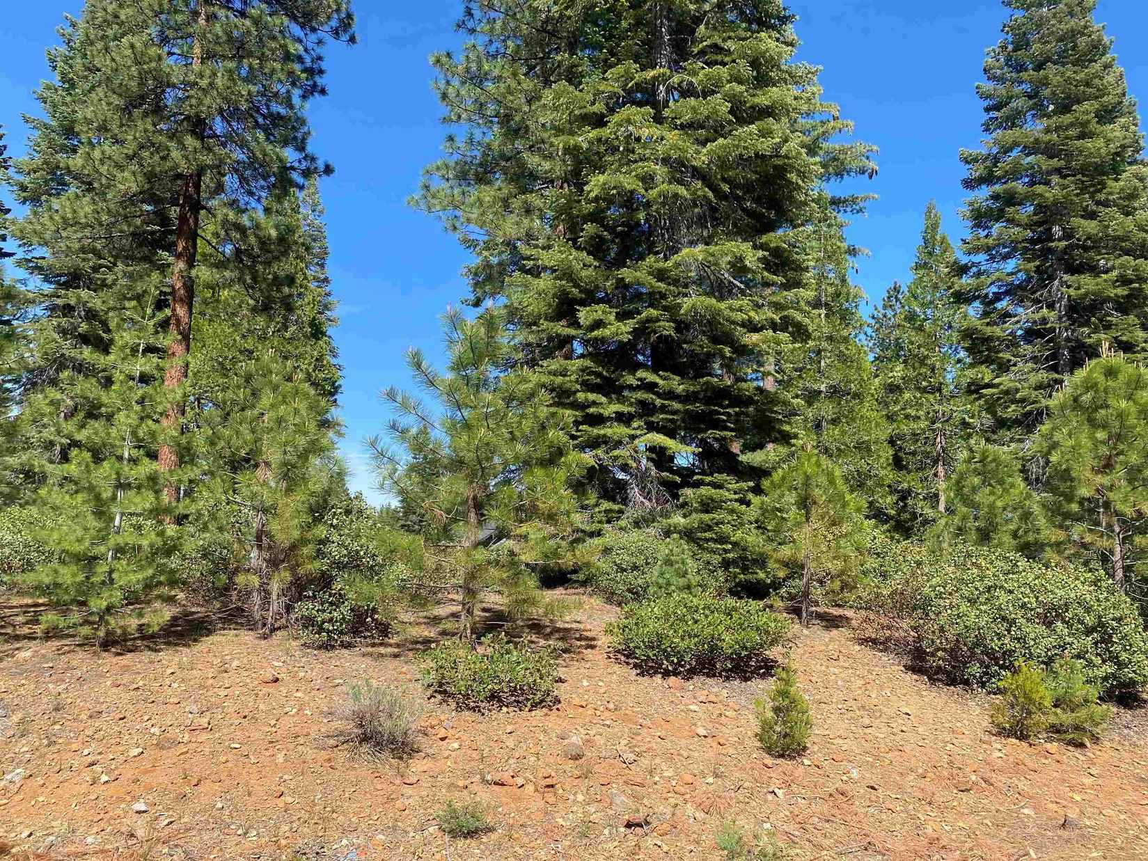 87 Treetop Cir  