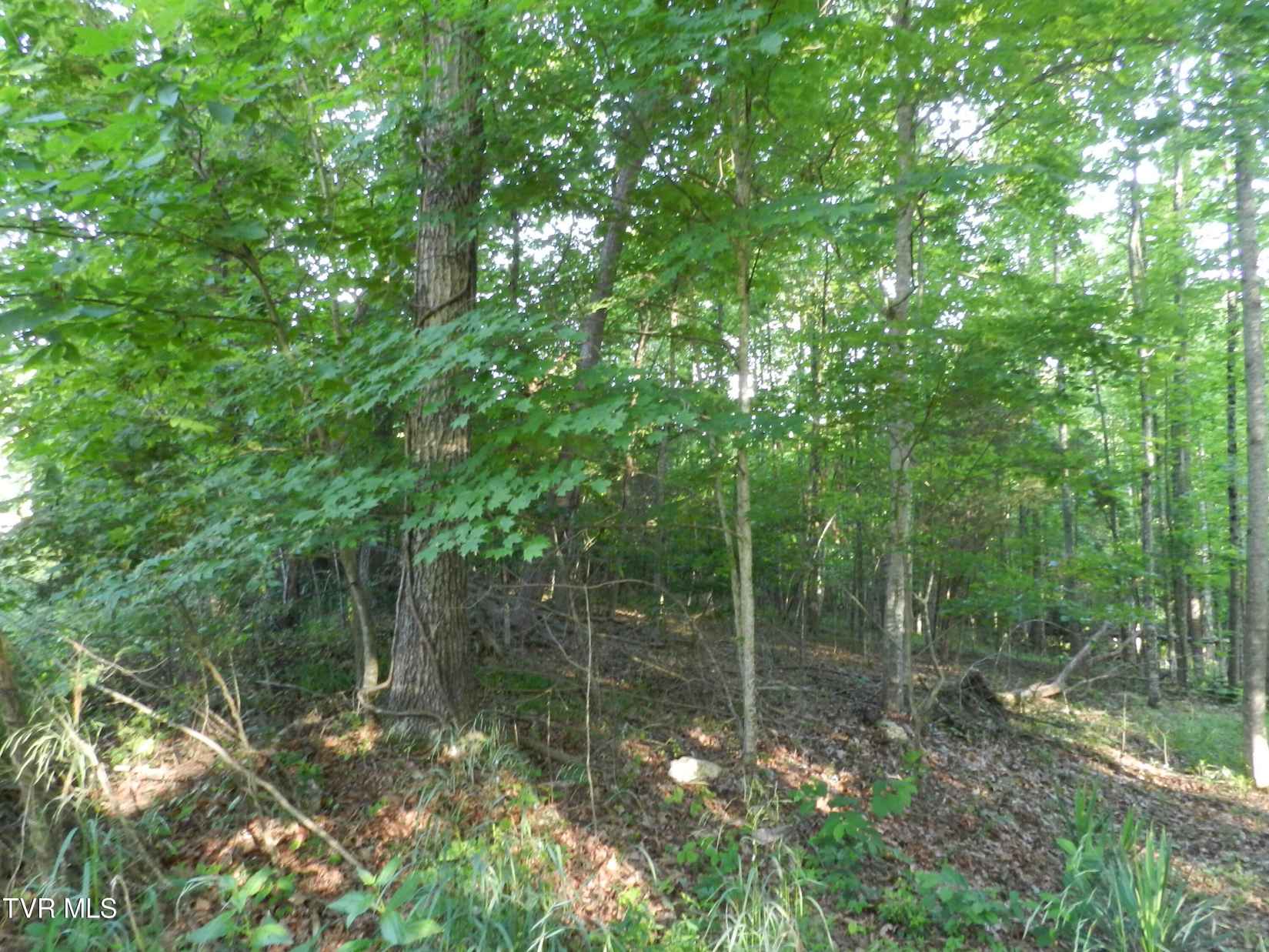 0 Miller Wood Rd  