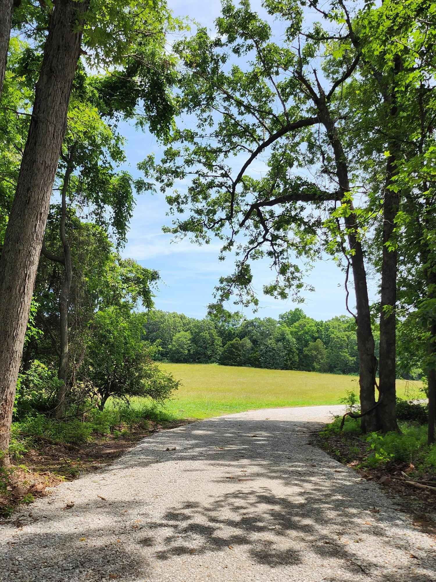 Lot 7 N Farm Rd 61  