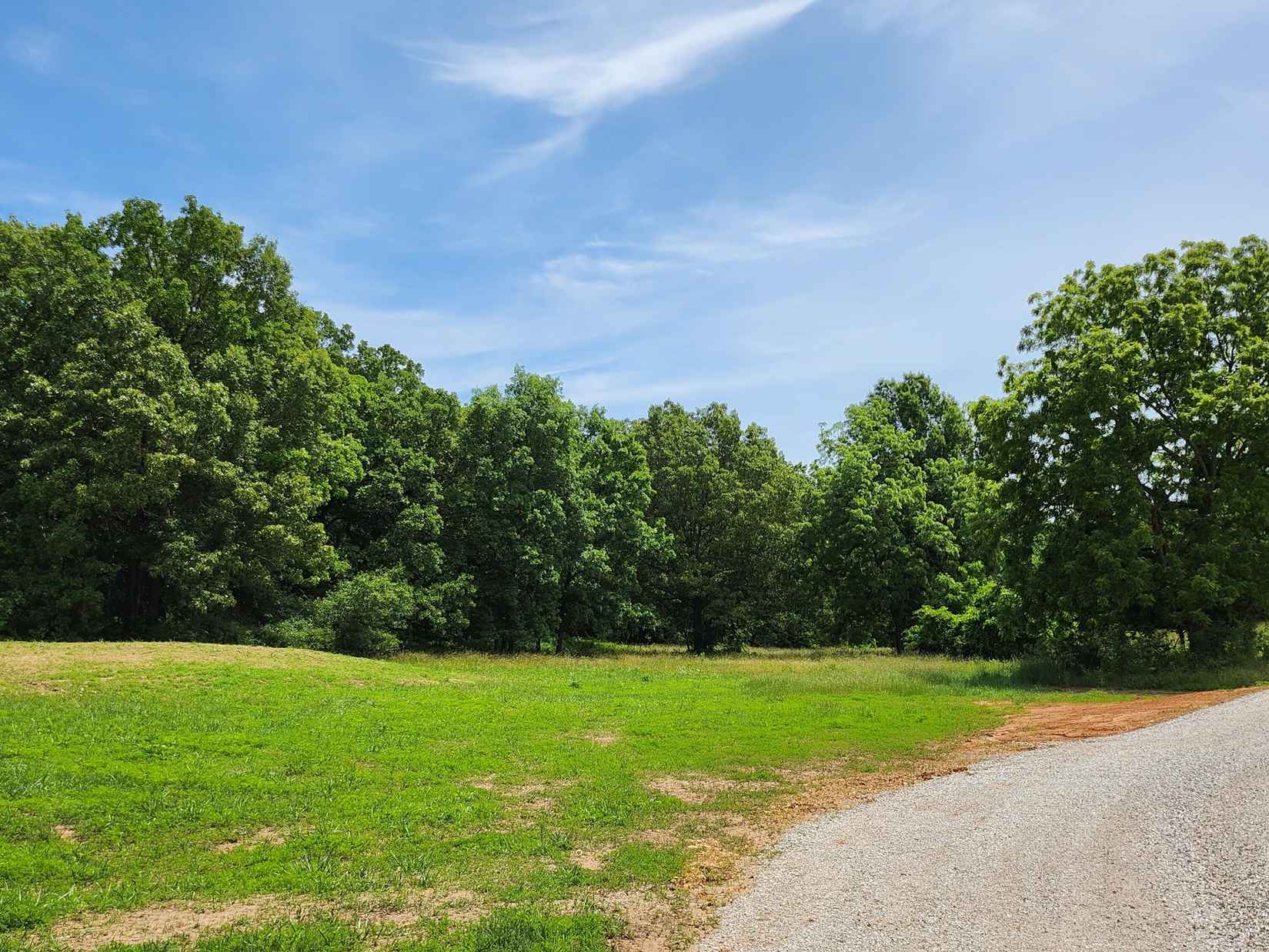 Lot 8 N Farm Rd 61  