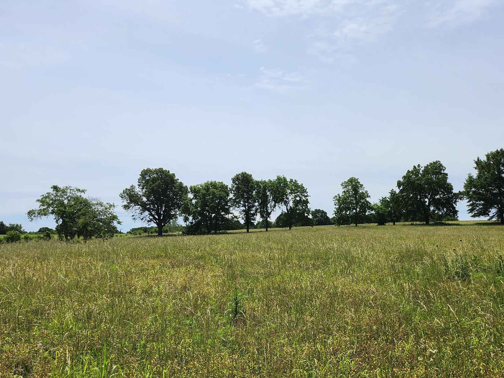 Lot 11 N Farm Rd 61  