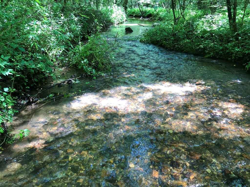 75 L-39 Meadowbrook Ln  