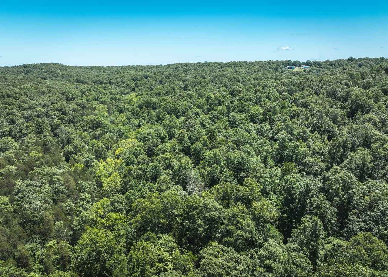 40 acres off Hillside Rd  