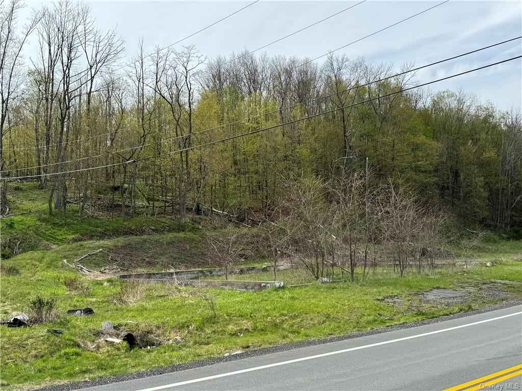 51 Parksville Rd  
