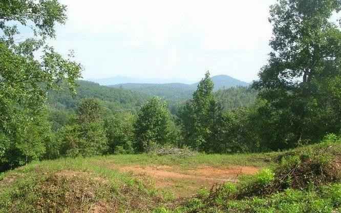 LT 43 BRASSTOWN TRAILS  