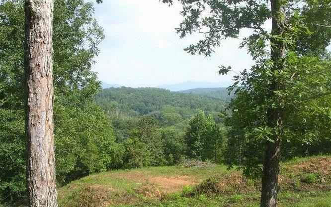 LT 44 BRASSTOWN TRAILS  