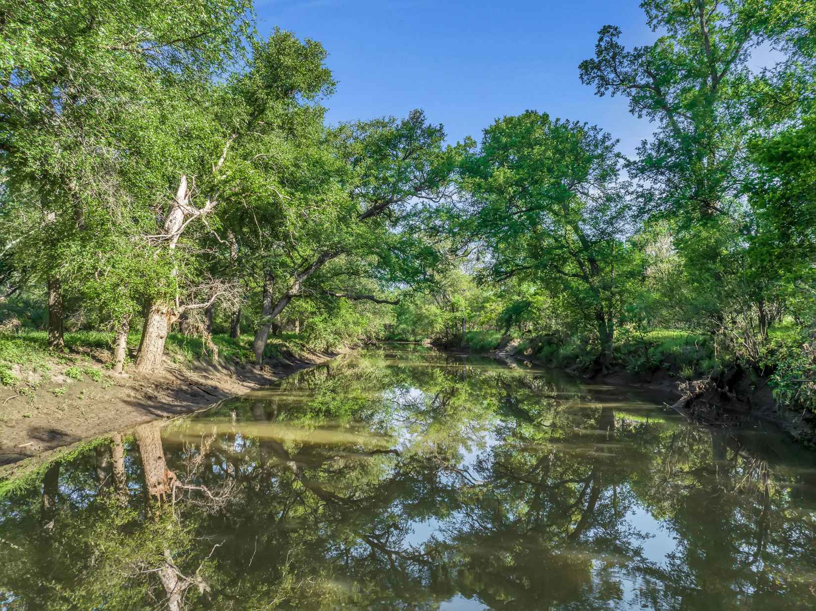 Hunting Haven FM 462  