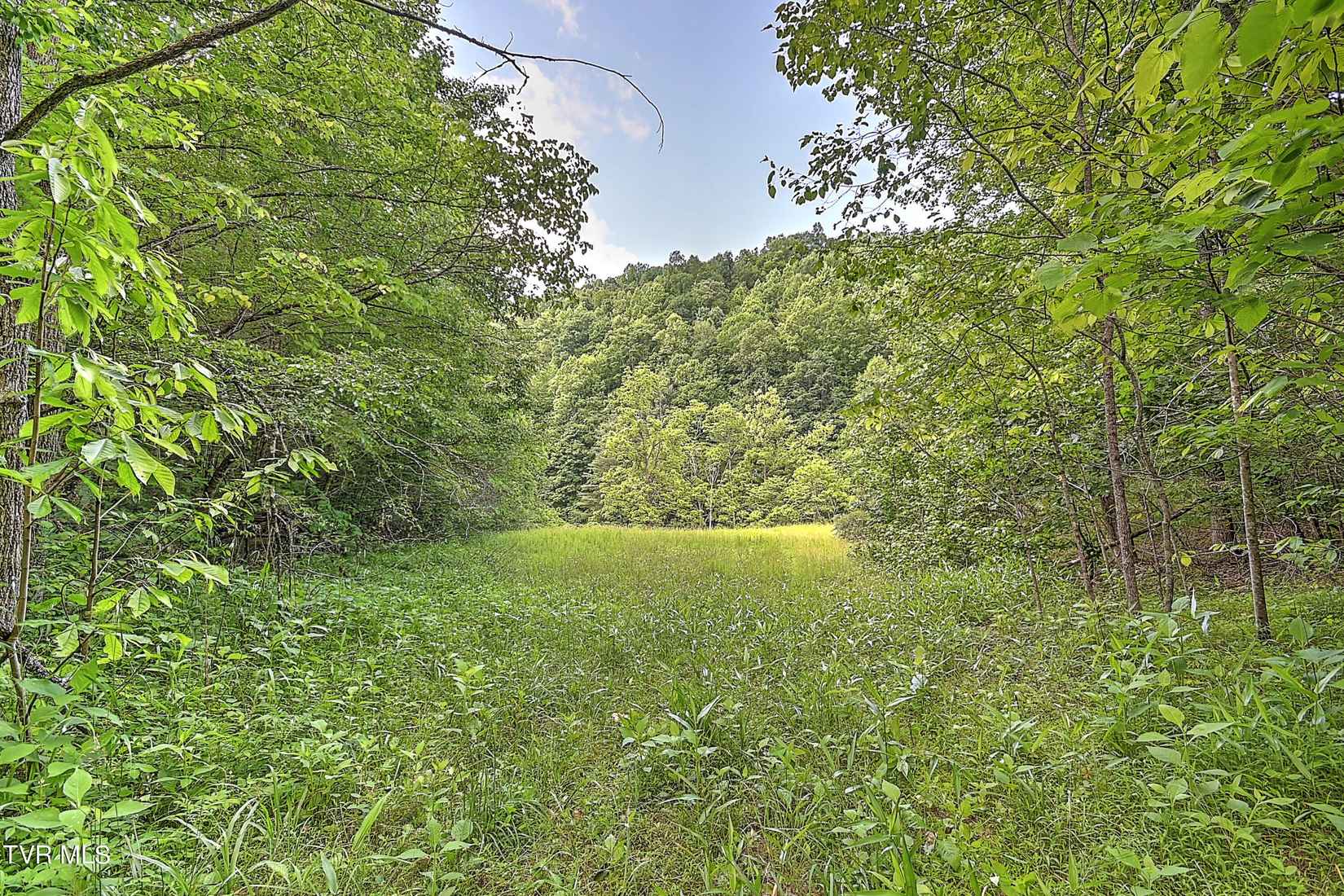 000 Goode Holw Rd  