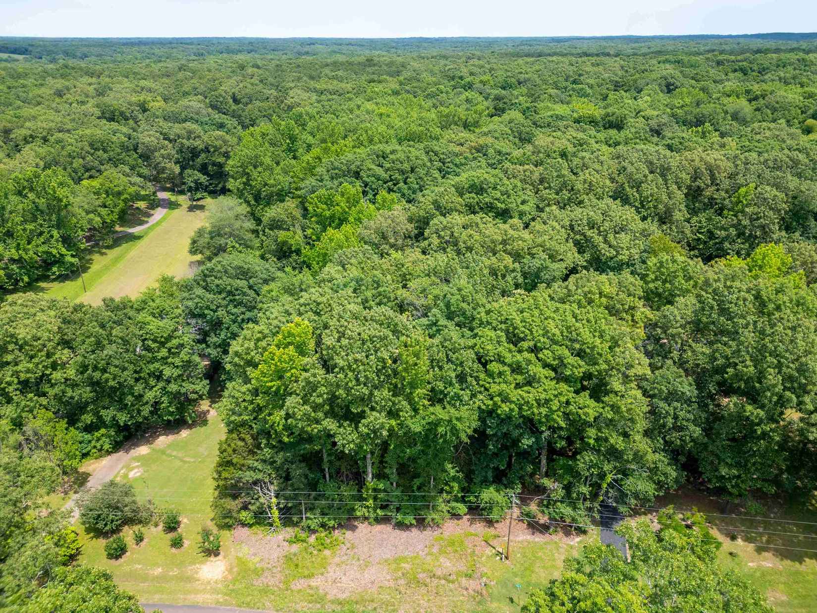 LOT 1 BEECH  