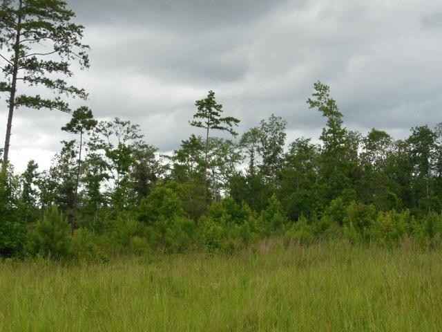 1572 W Carters Fry Rd  