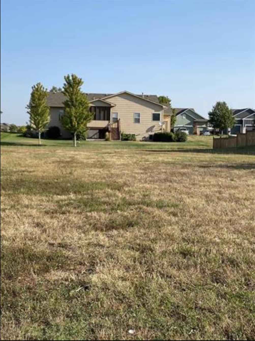 709 Goldspike  