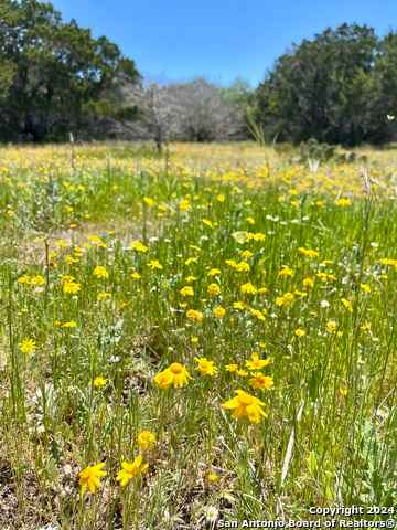 LOT 423 Horseshoe Fls  