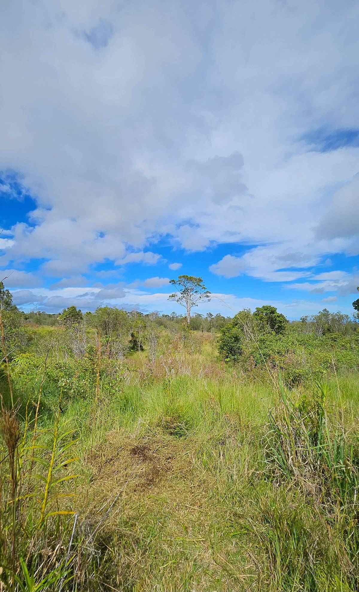 18-4510 MAKAALA RD  