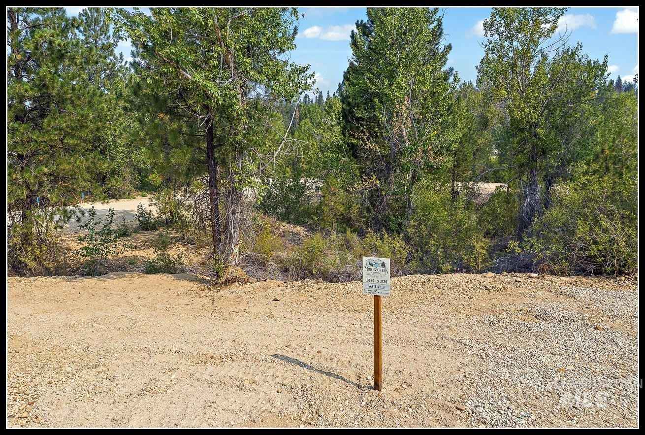Lot 60 Lily Loop  