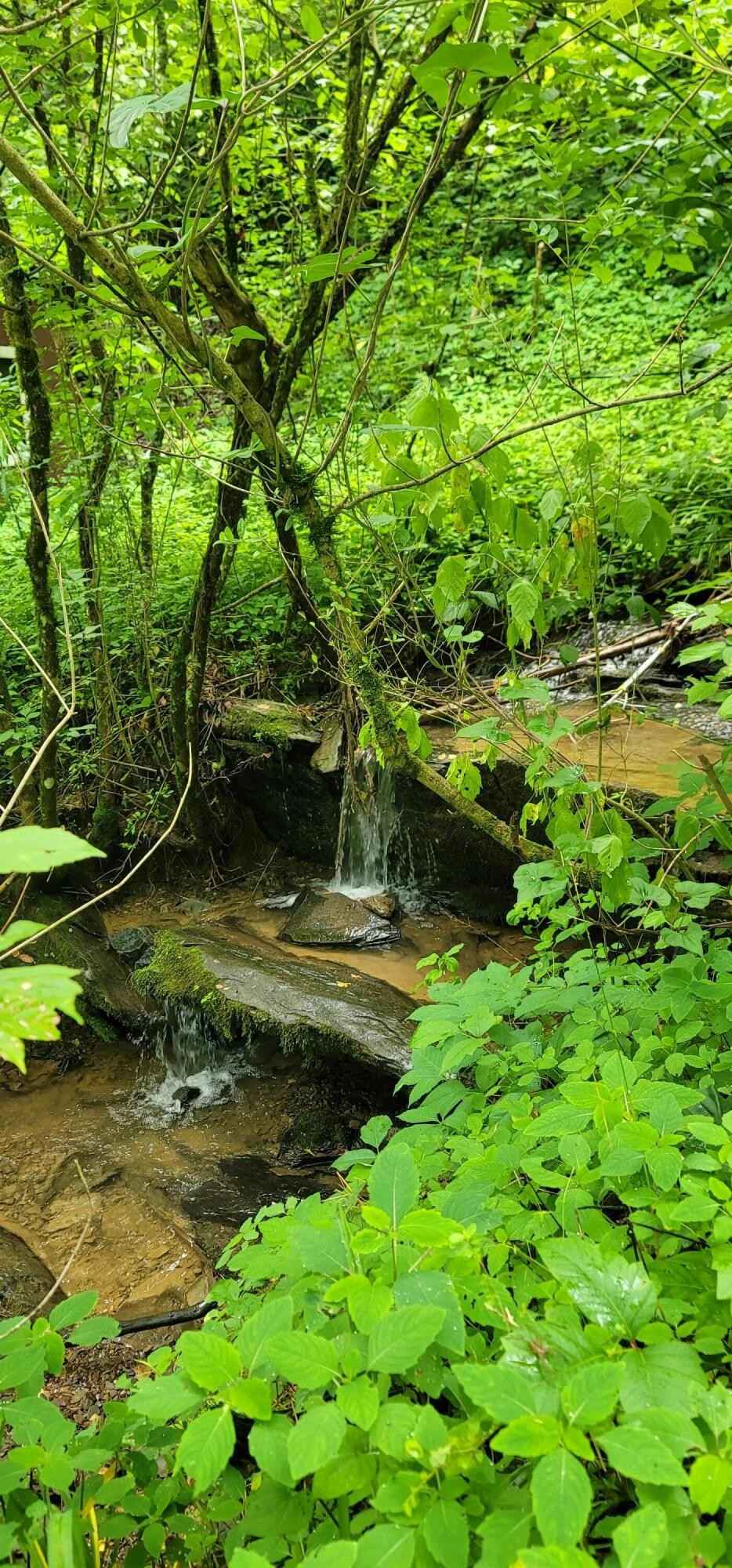 4206 Henry Town Rd Rd  