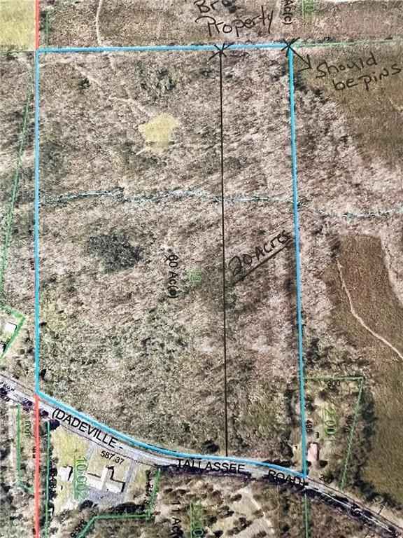 16962 S AL Hwy 49  