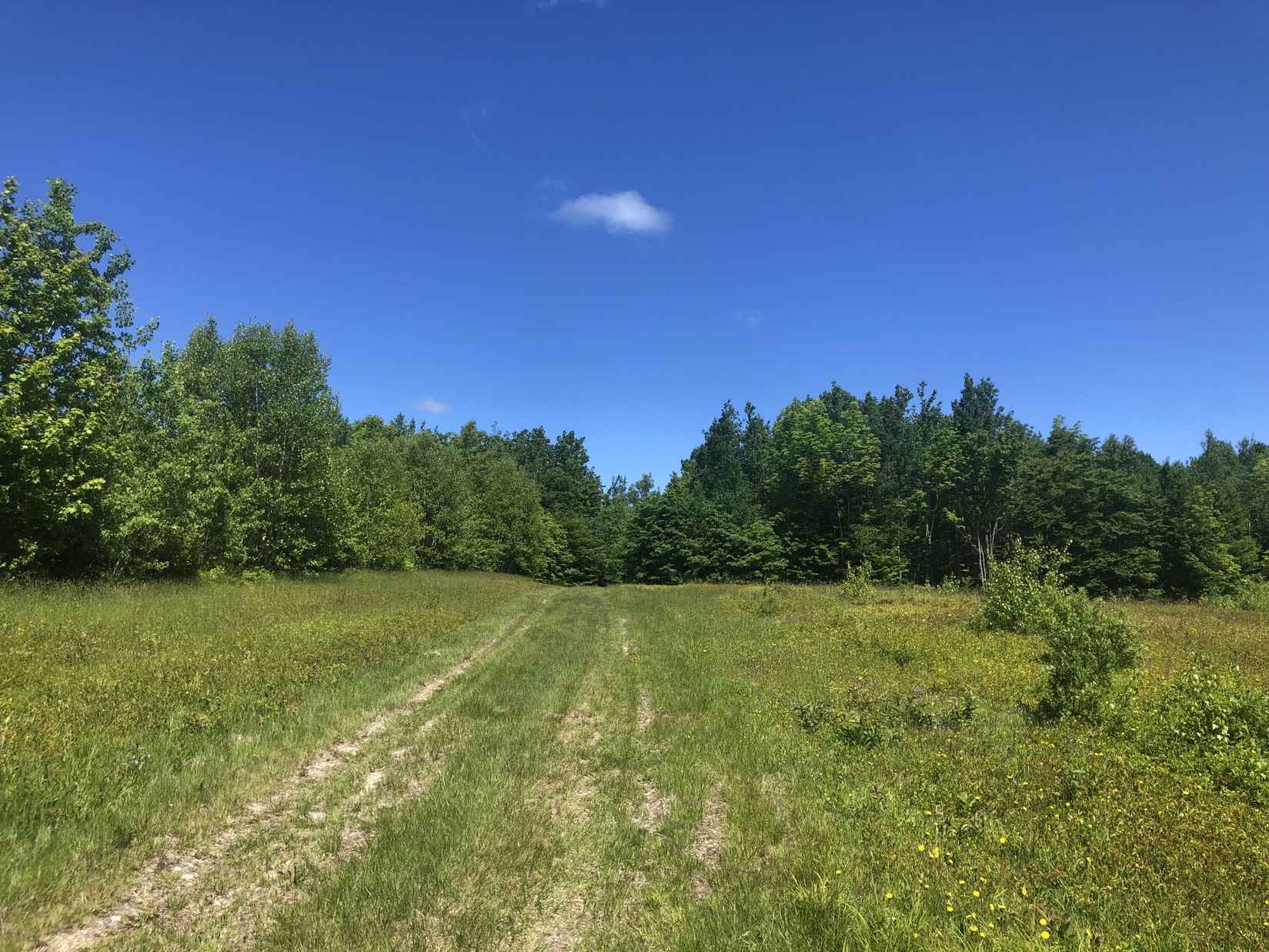 329 Arm Rd  