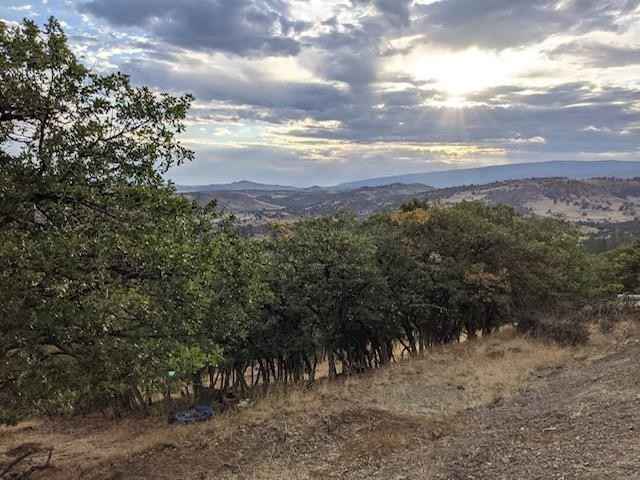 Unit 3 Lot 278 Cougar St  