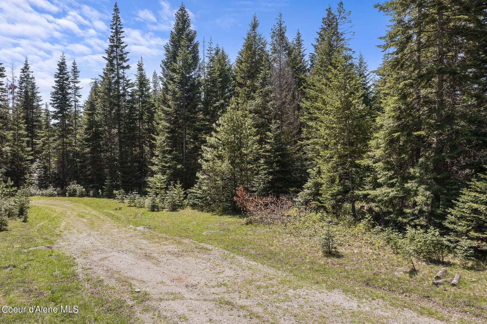 NNA Grizzly Meadows Ct Lt 5  