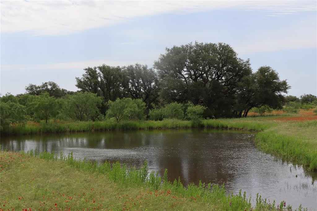 4878 county Rd 271  