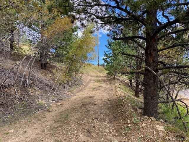 N006791 Front Neck Mine Rd  