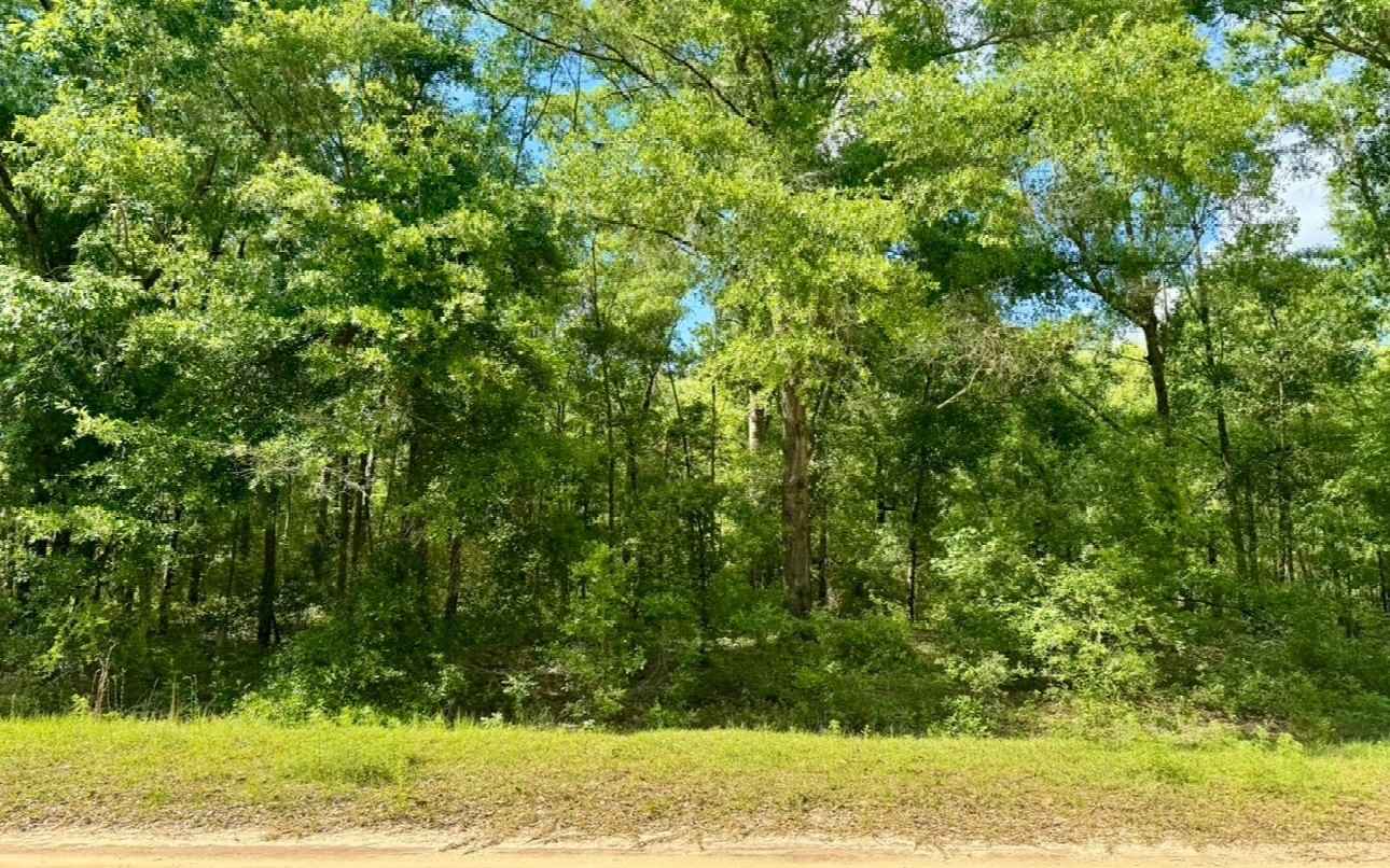 LOT52 NW 28TH Ter  