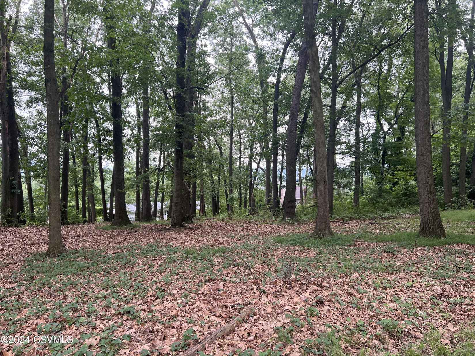 14 FAIRWAY Dr  