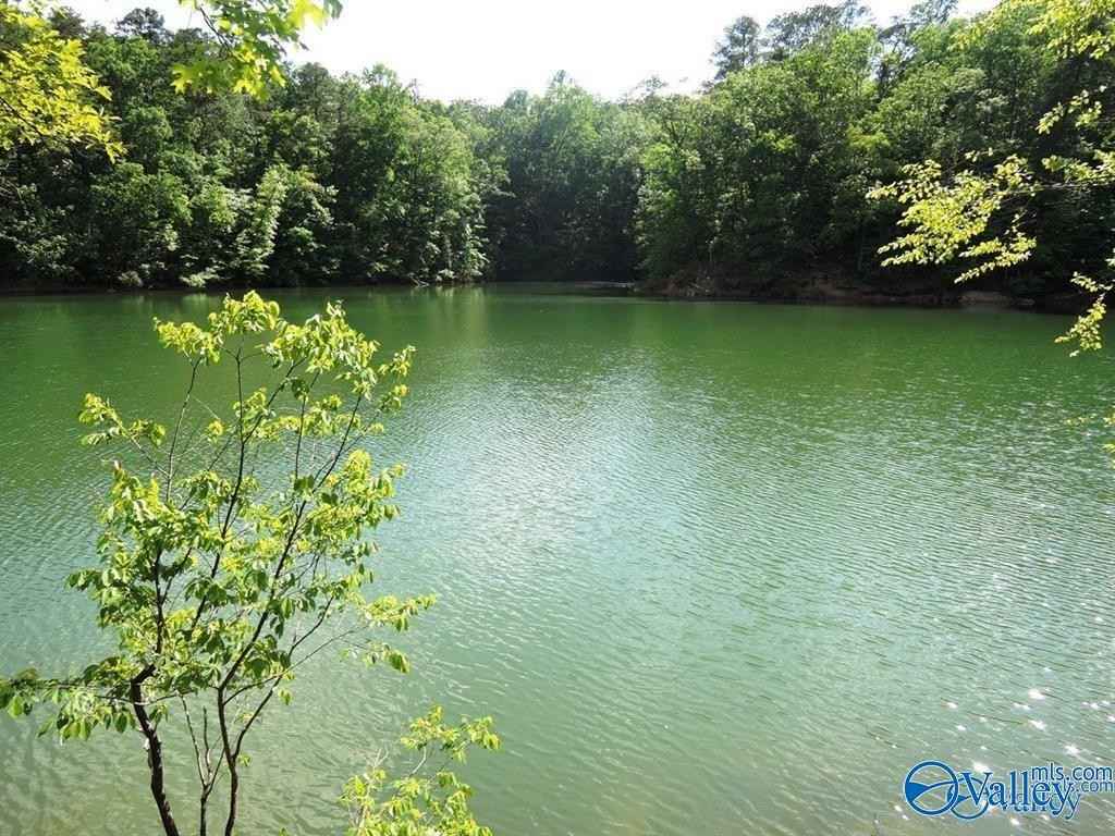 2 6 Acres Blue Bird Ln  