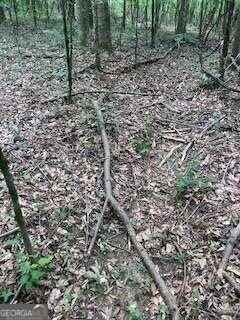 263 Simonton Rd  