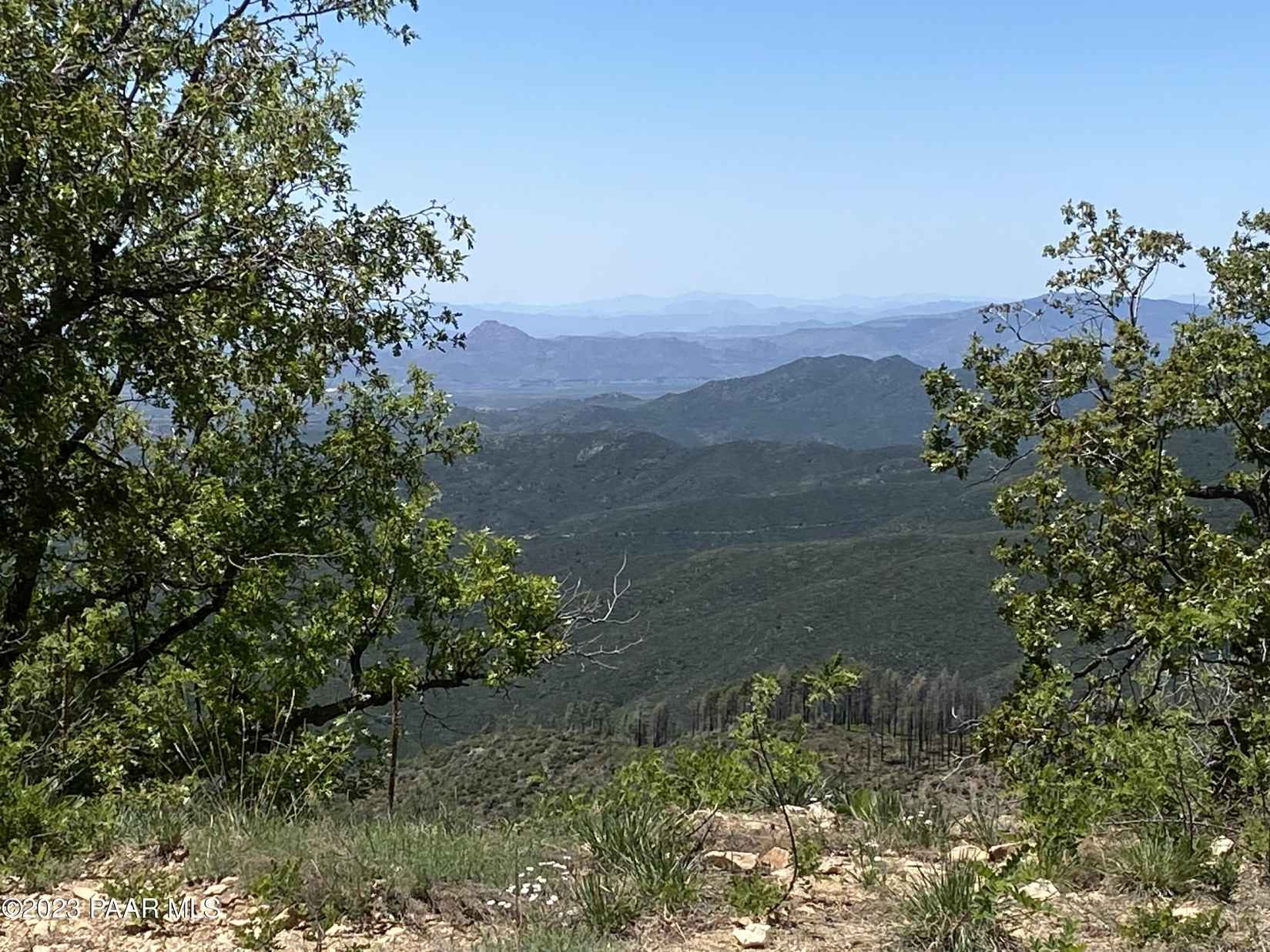 1002 N Turkey Trot Trl  