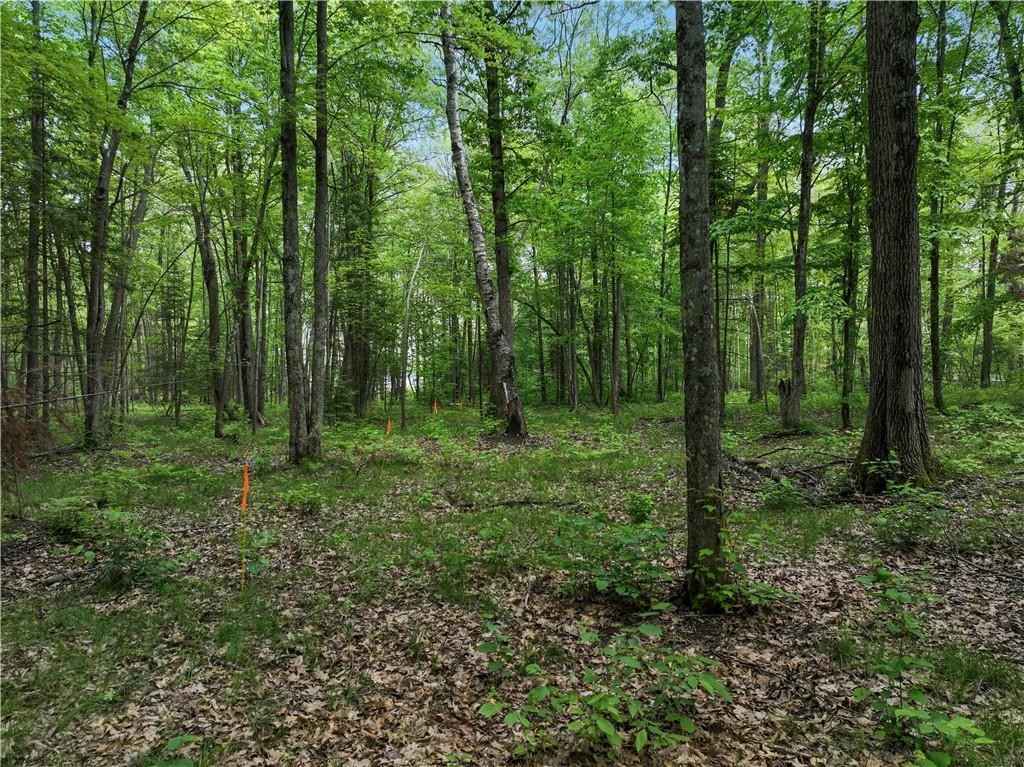LOT 2 BLAISZIK'S BAY Ln  
