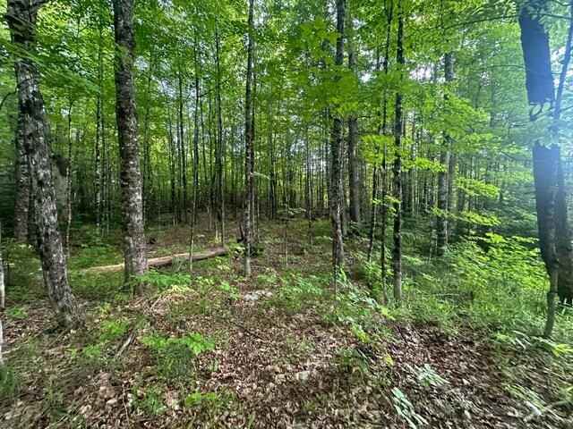 Lot 33 Butterfield Rd St  