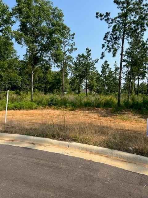Lot 11 Sawtooth St  