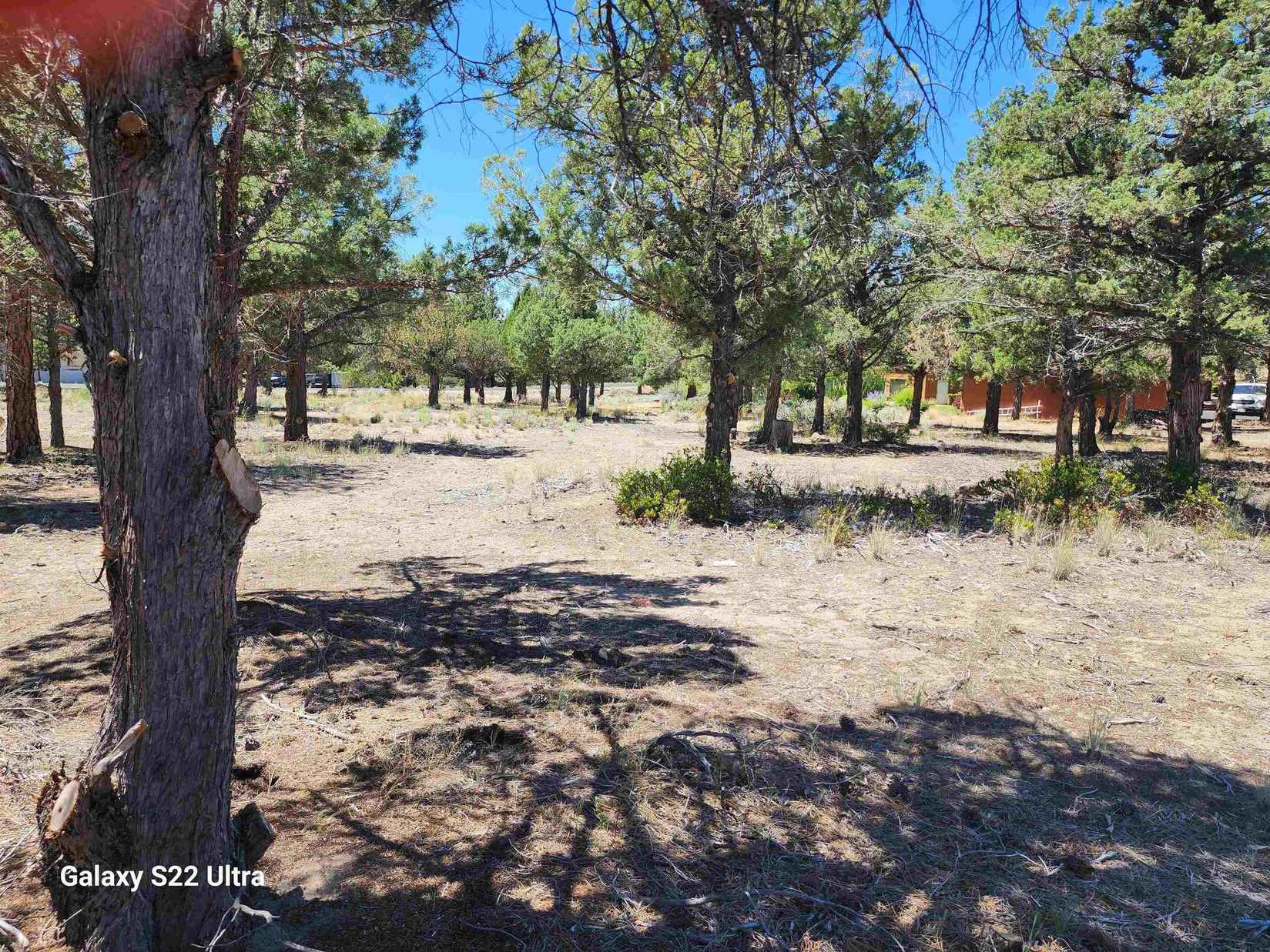 lot 77 Deer Ln  