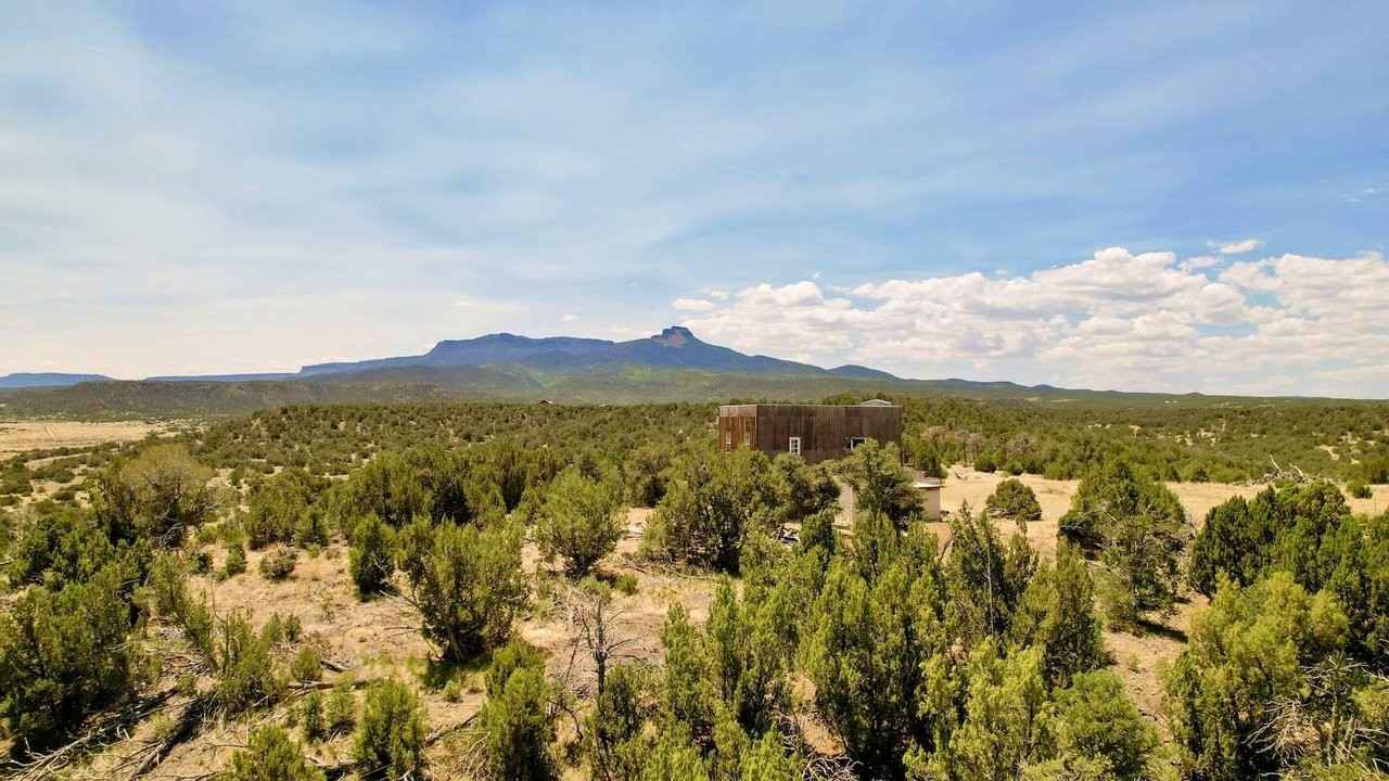 13565 Bat Materson Dr  