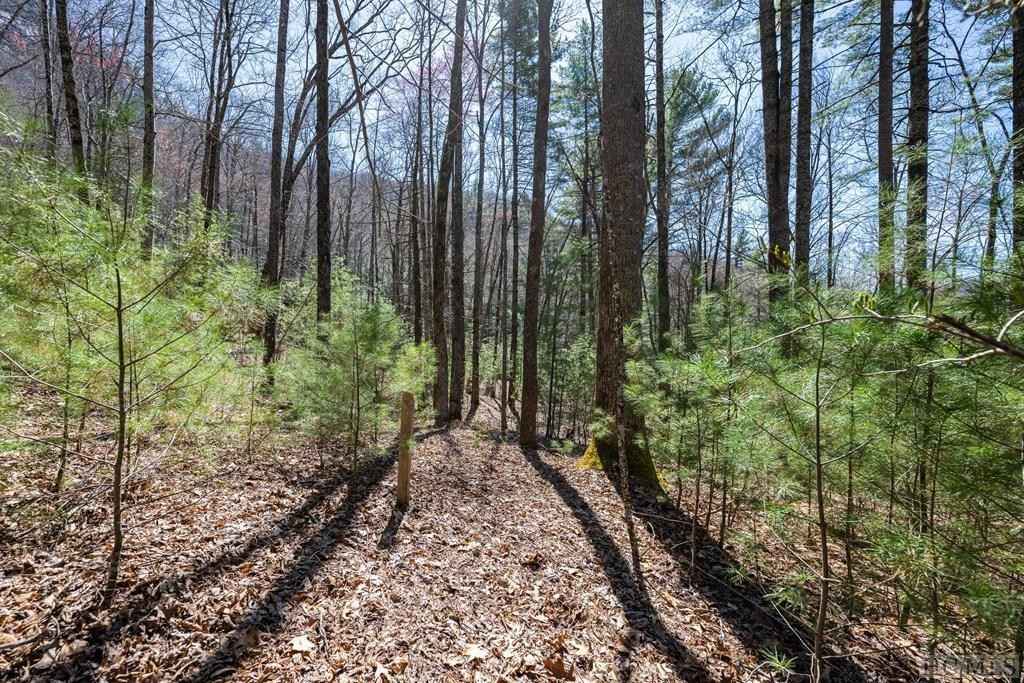 Lot 13 Climbers Spur  
