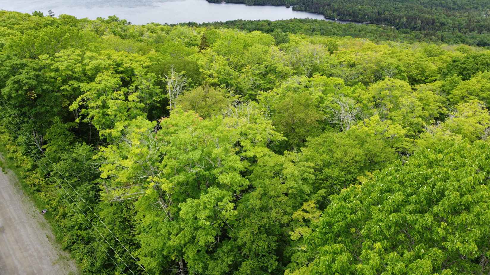 Lot 3 Hilltop Dr  