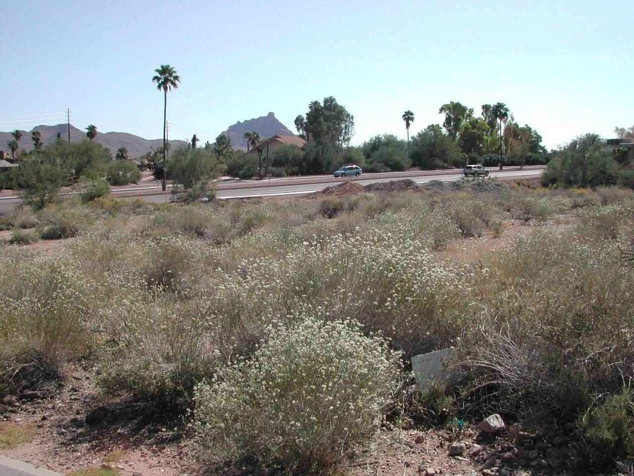11230 North Saguaro Blvd  