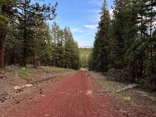 Lot 20 Grizzly Flts Rd  