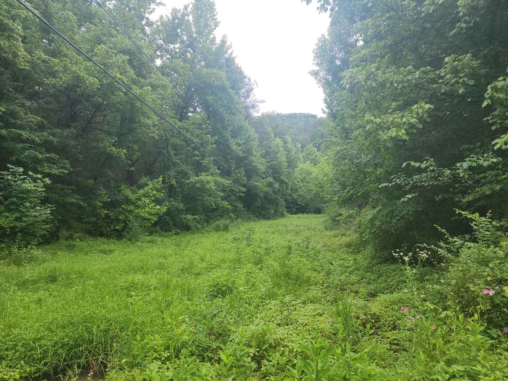 00 Rocky Flats Rd Rd  