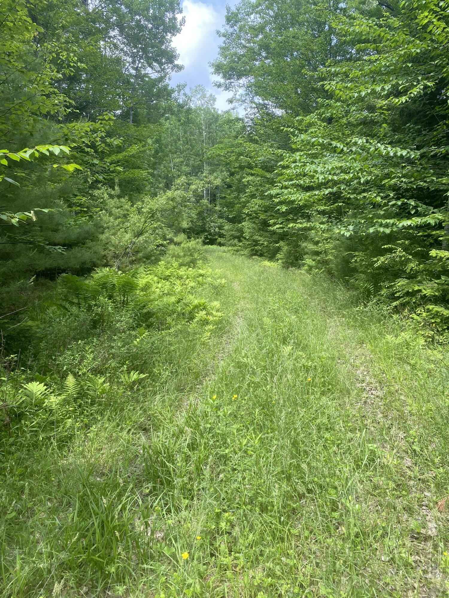 Lot 68 Main St  