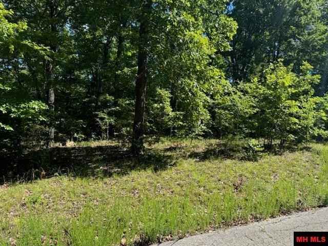 528-00030-000 ELLY Ln  