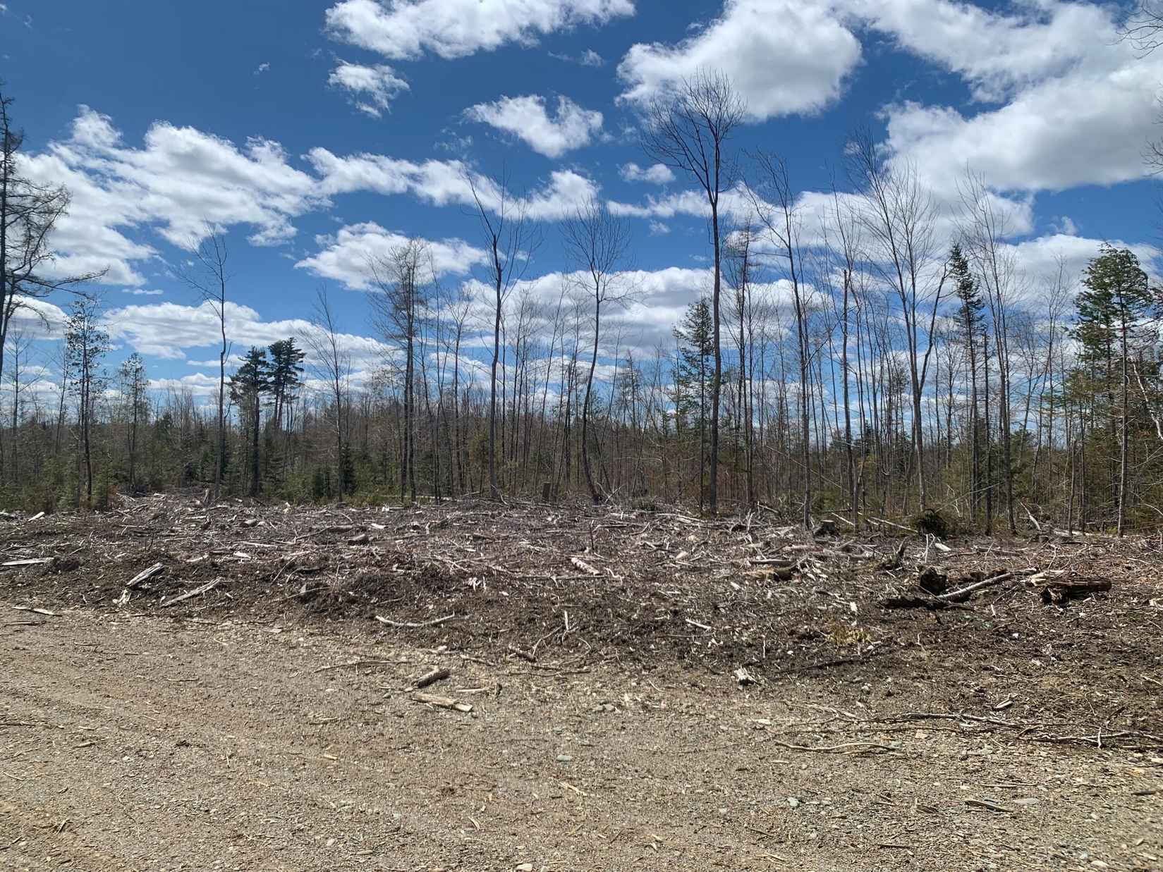 0a Clearcut Ldg Rd  