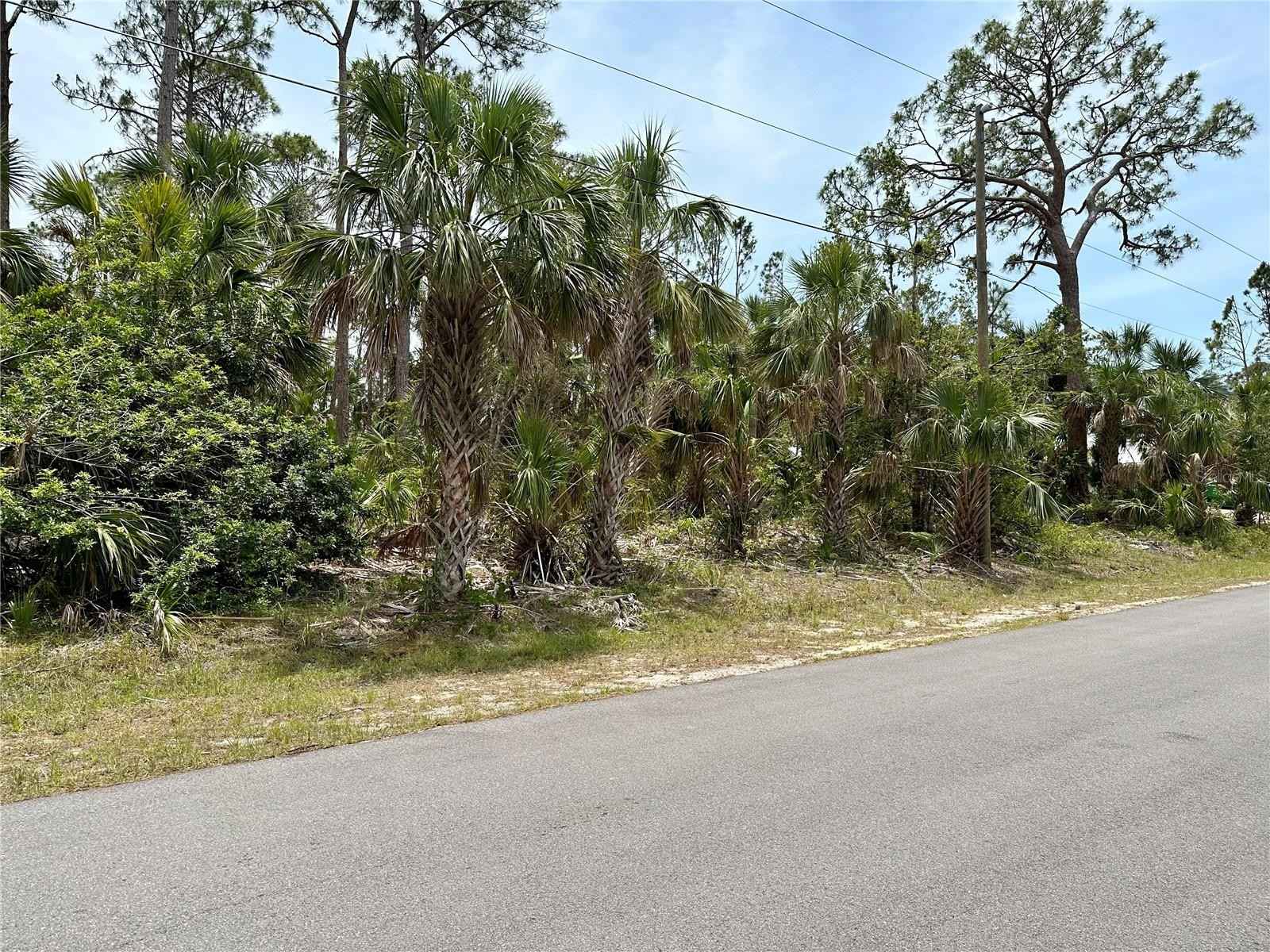 Lot 59 EVERGLADES Ter  