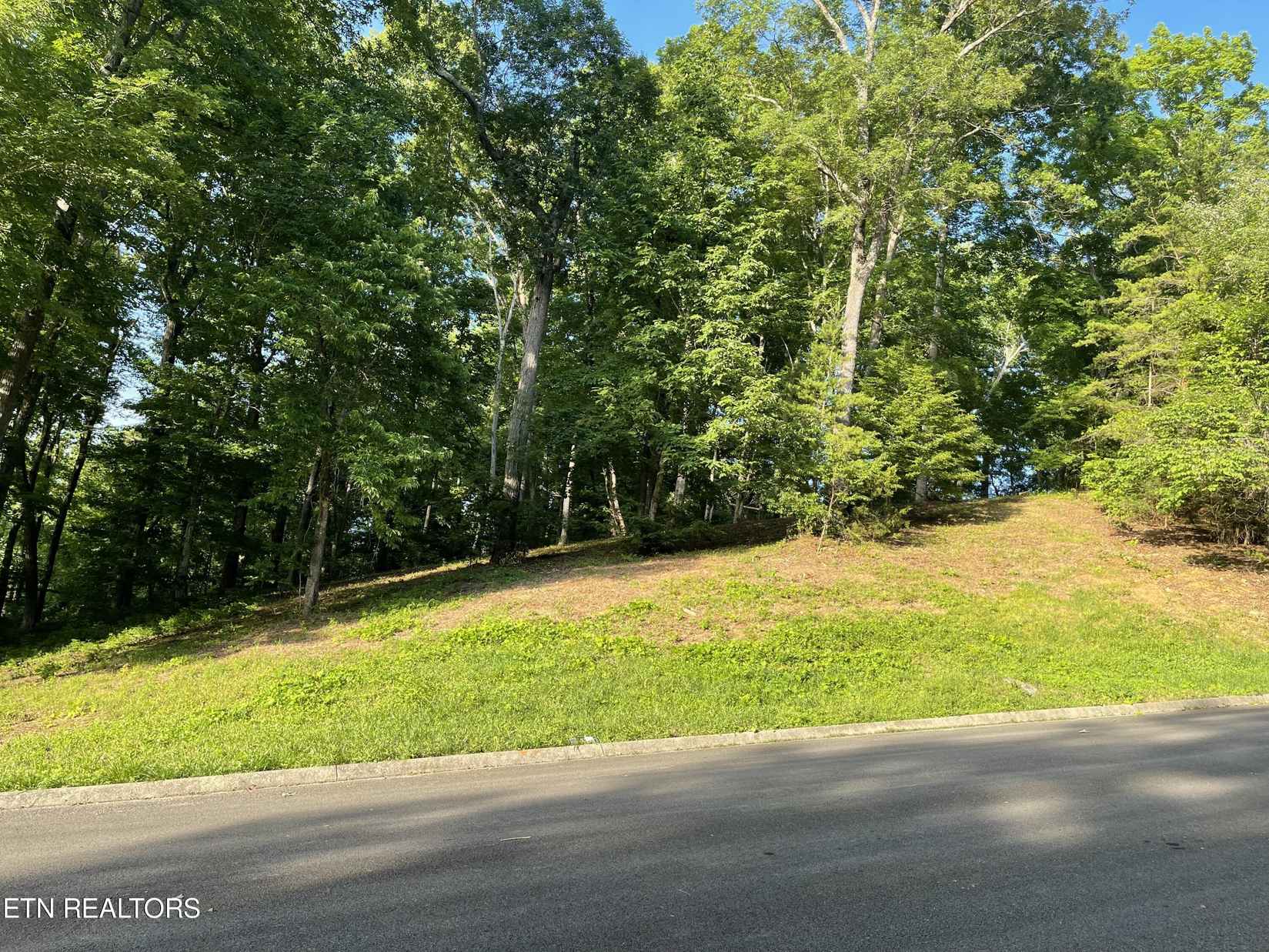 Lot 39 Apple Tree Dr  