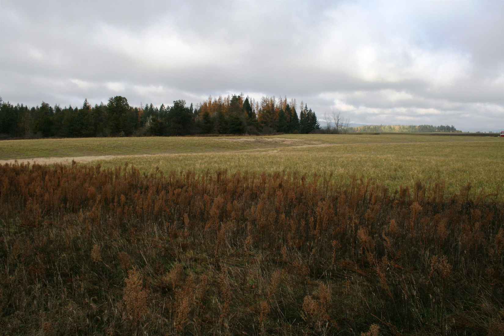 LOT 4 FERN LN  