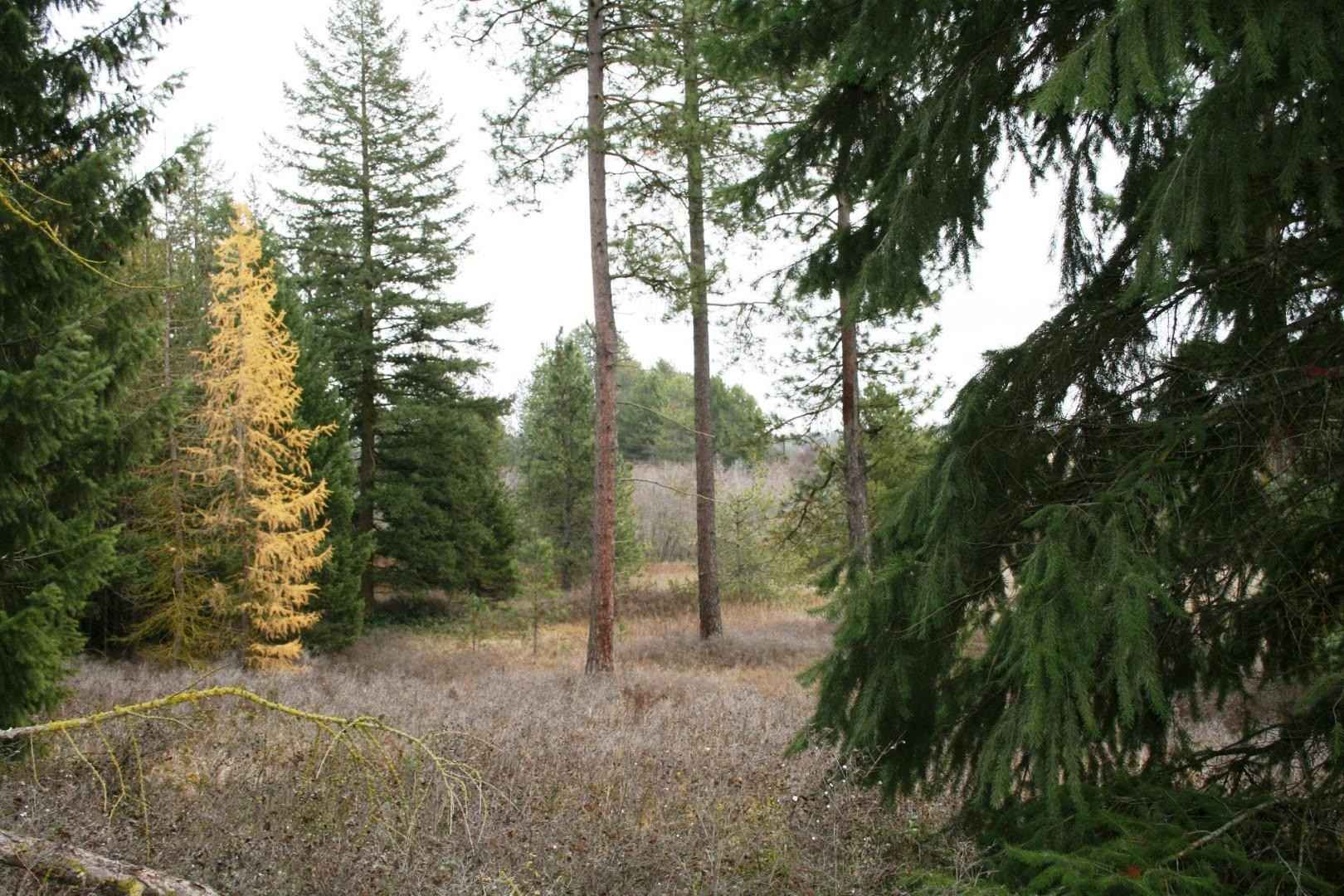 Lot 7 Dahl Rd  