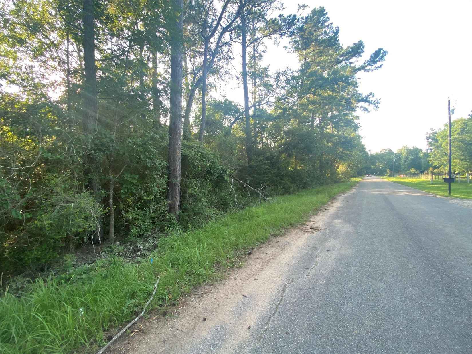 26175 Spanish Oak Dr  