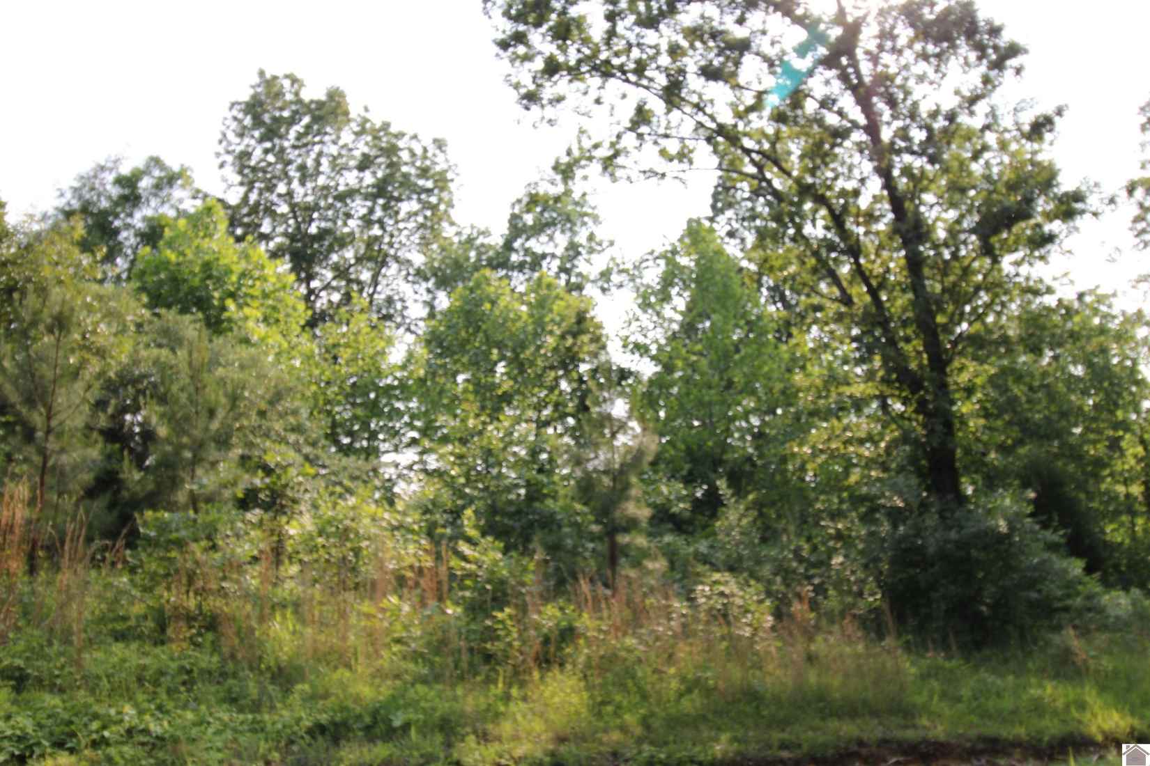 00 Paddle Wheel Rd  