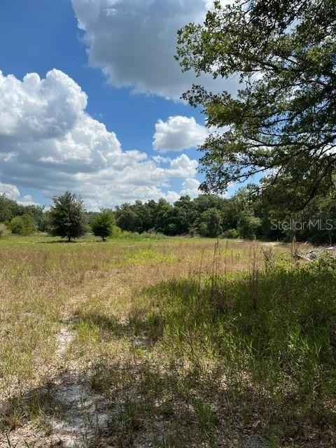 35139 UMBRELLA ROCK Dr  